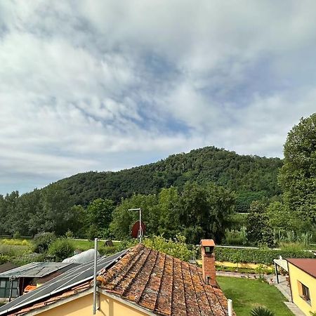 Nicola Apartment Lucca Bagian luar foto